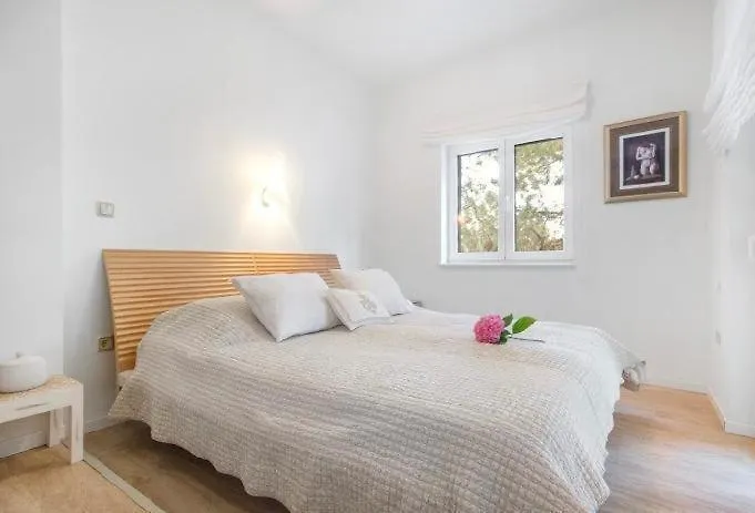 Delux Hedonica ז'אבוריץ'