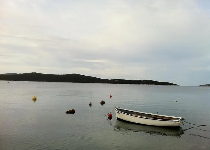 Delux Hedonica ז'אבוריץ'